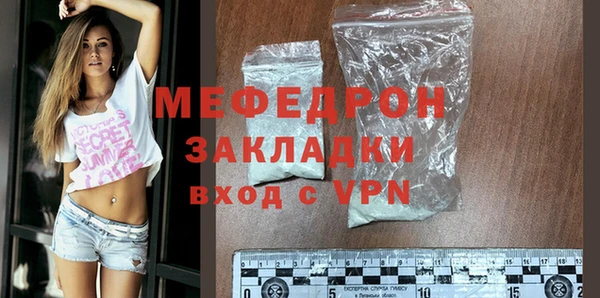 индика Медвежьегорск