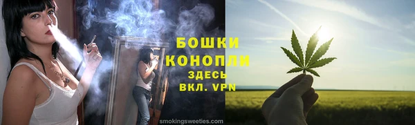 амф Мегион