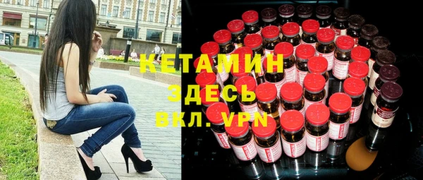 индика Медвежьегорск
