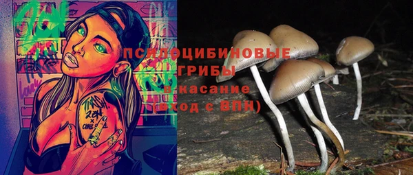 гидра Медногорск