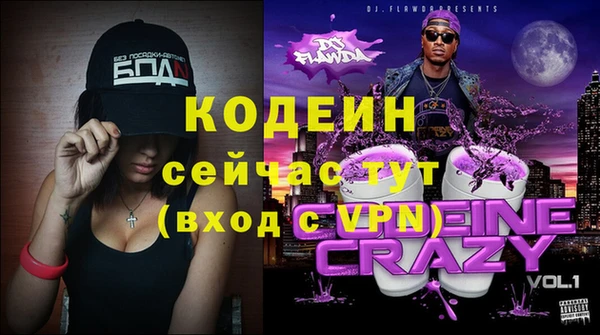 индика Медвежьегорск