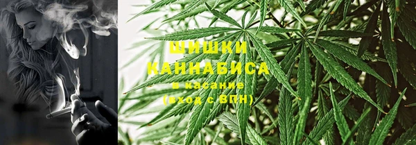 амф Мегион