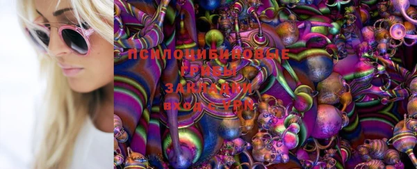 spice Михайловск