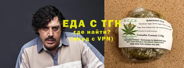 индика Медвежьегорск