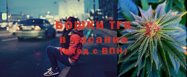индика Медвежьегорск