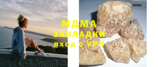 индика Медвежьегорск