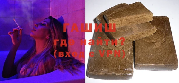 индика Медвежьегорск