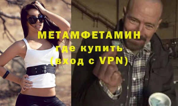 индика Медвежьегорск